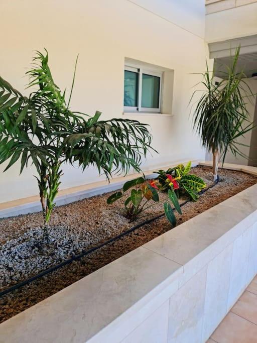 Homely Apt In Modern Building With Pool Сан Мигел де Абона Екстериор снимка